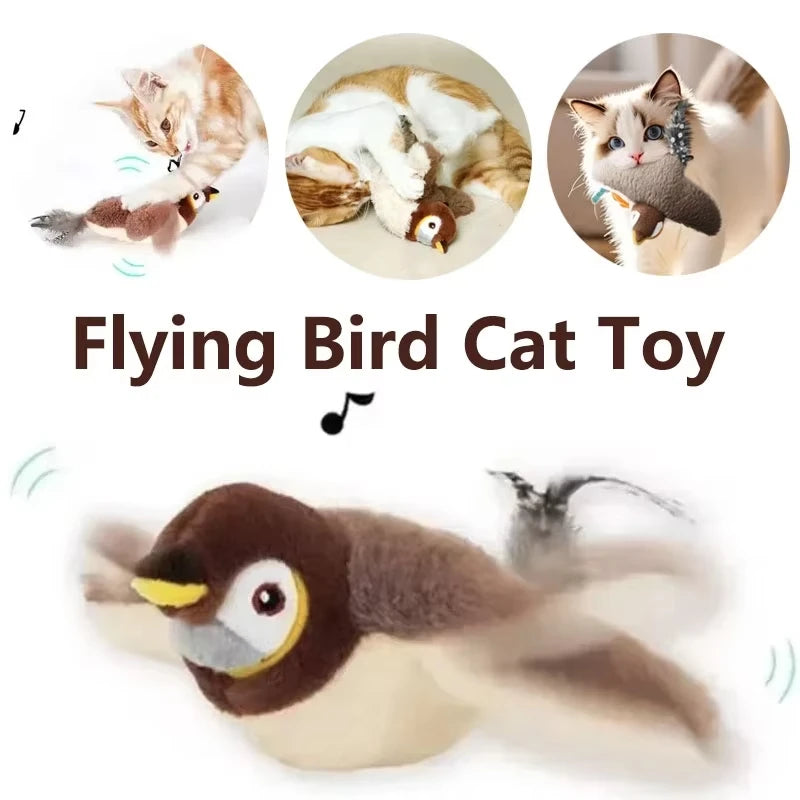Fluffwing Cat