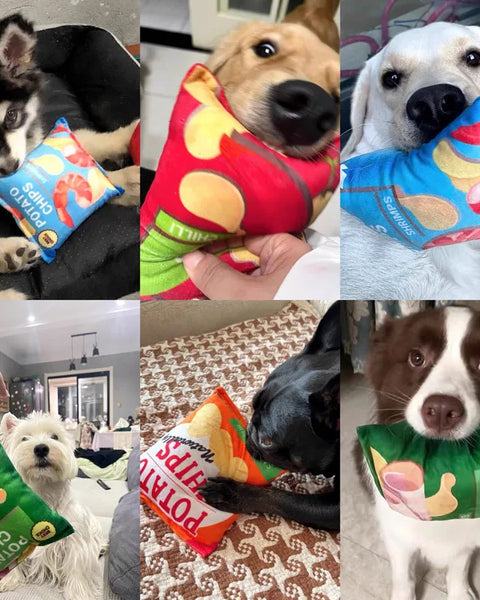 Funny Snack Dog Toy