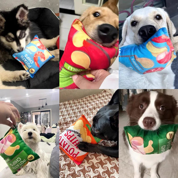 Funny Snack Dog Toy