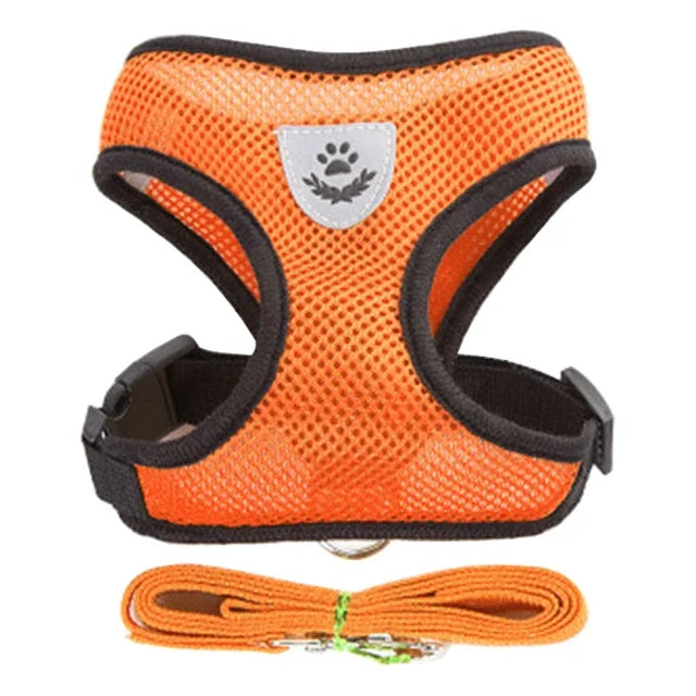 Veltra – Adjustable Pet Harness with Leash