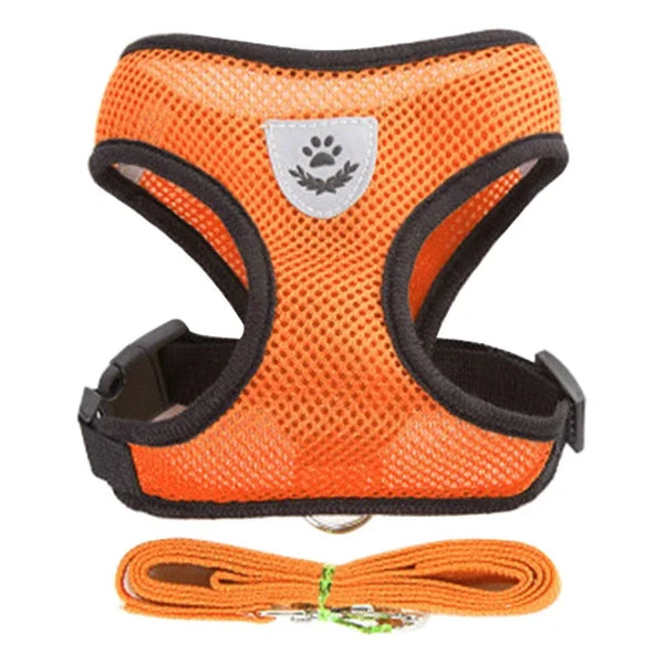 Veltra – Adjustable Pet Harness with Leash