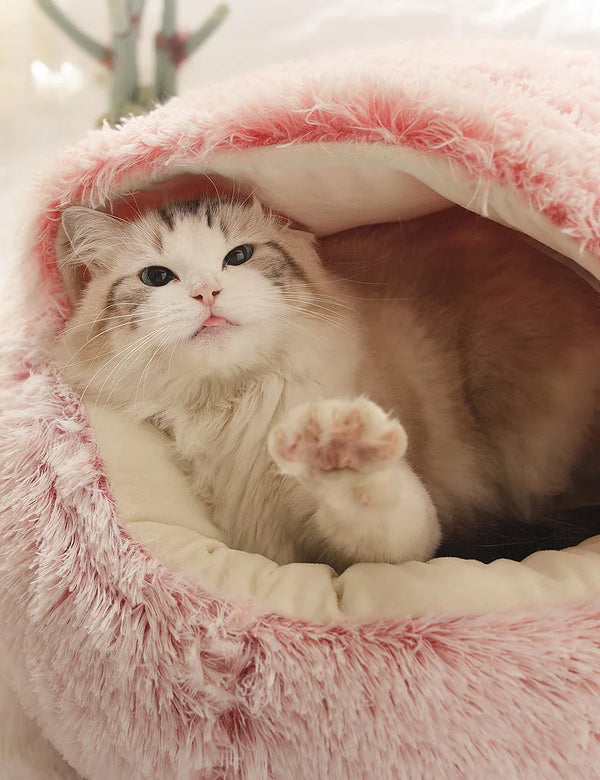 Winter Bed – Premium Model