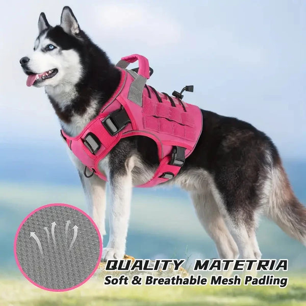 Dog Harness with Handle