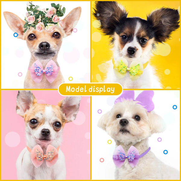 LaceCharm Bow Collar Set