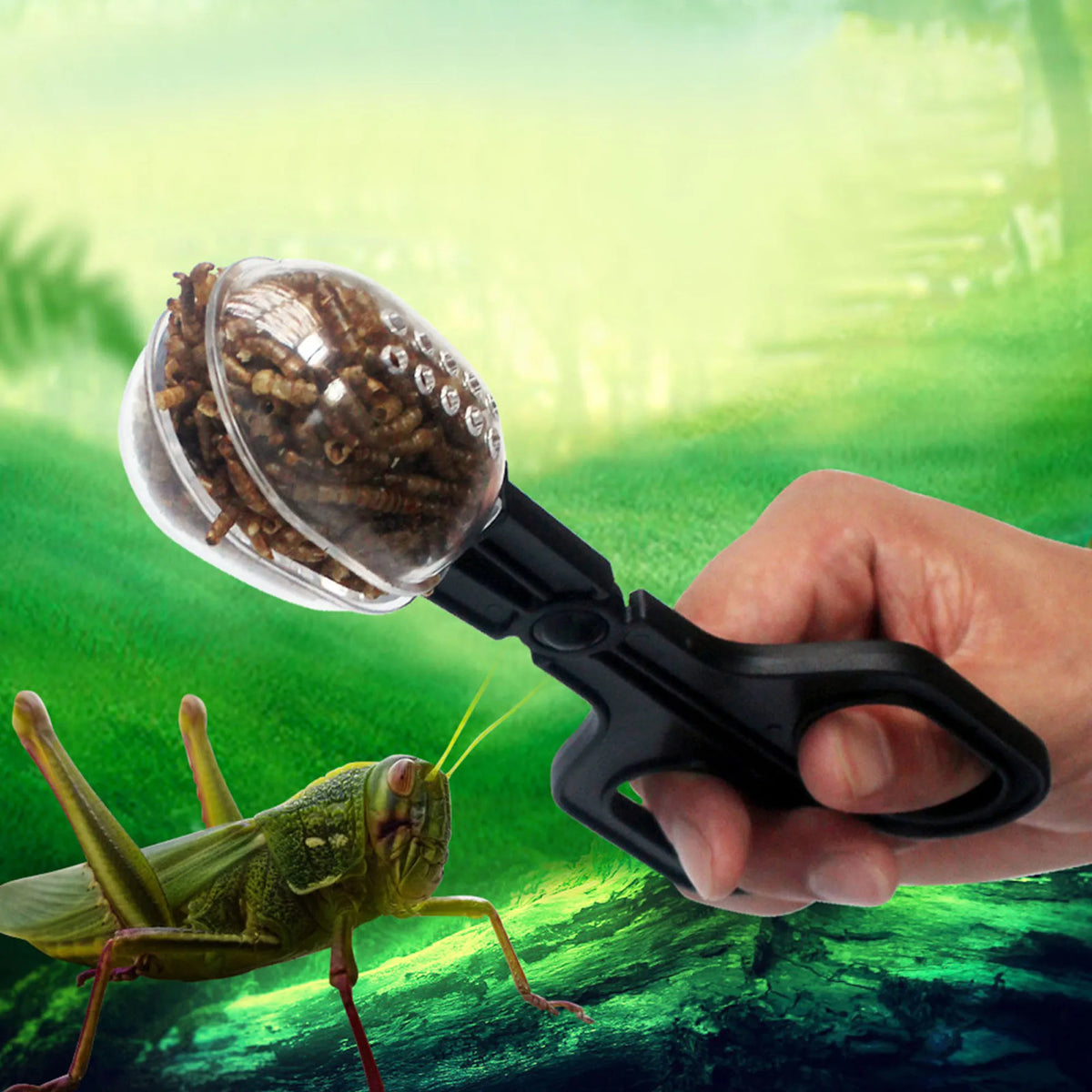 Insectraxx™ Reptile Terrarium