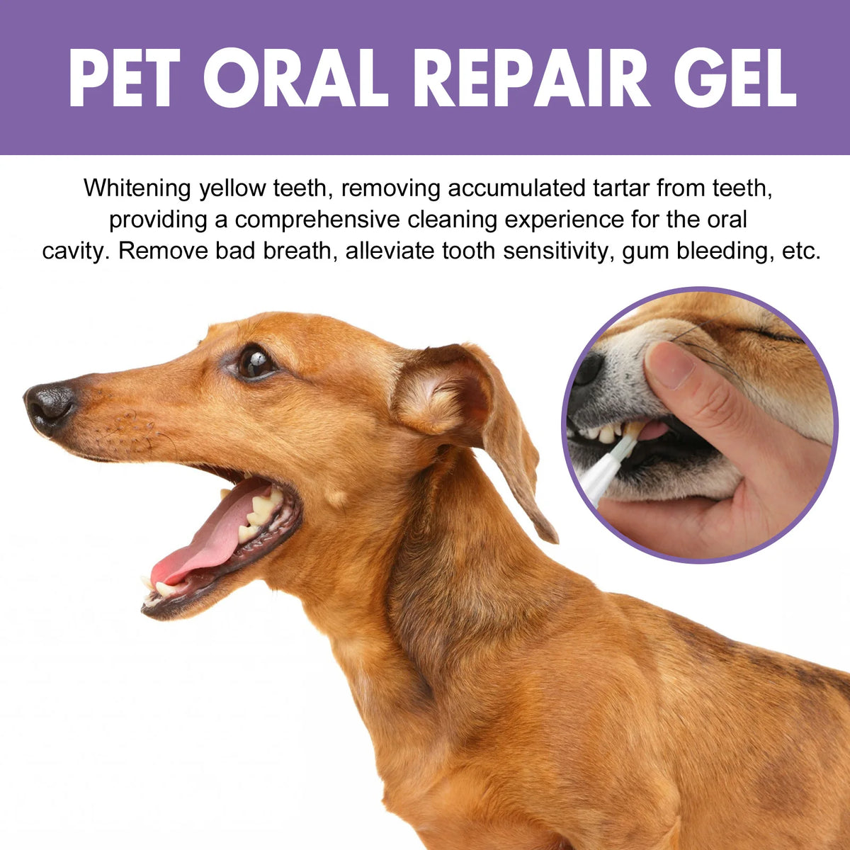 Dentapetix Gel