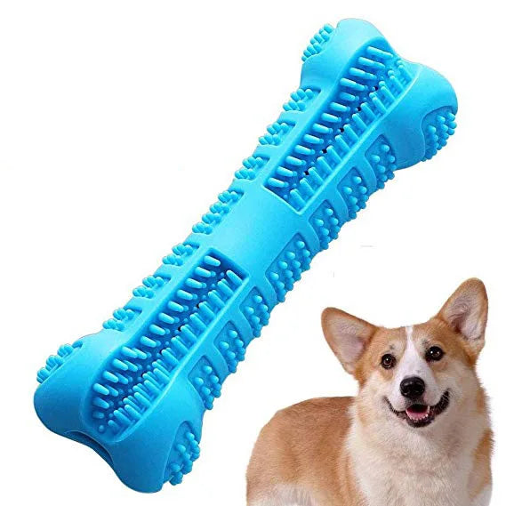 Denticlean – Healthy teeth, playful fun!