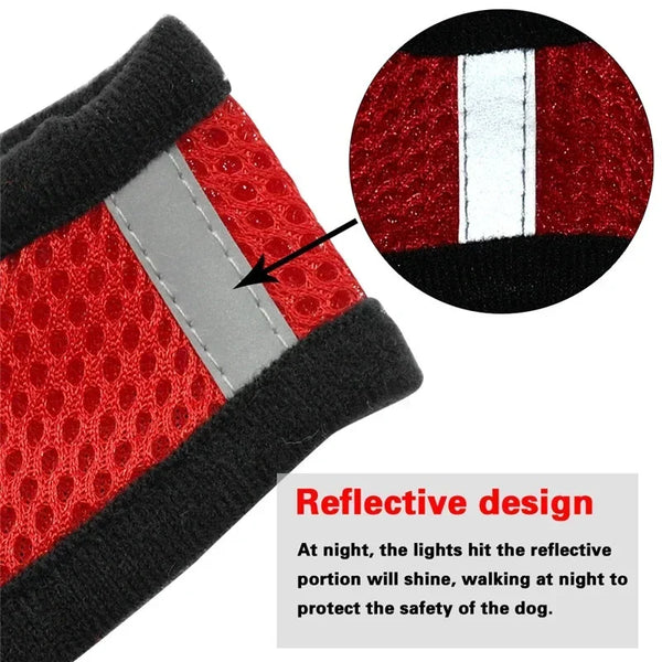 Veltra – Adjustable Pet Harness with Leash