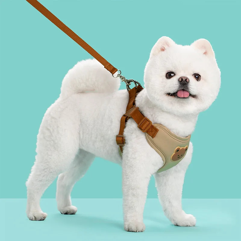 Cute Dog Harness and Leash Set