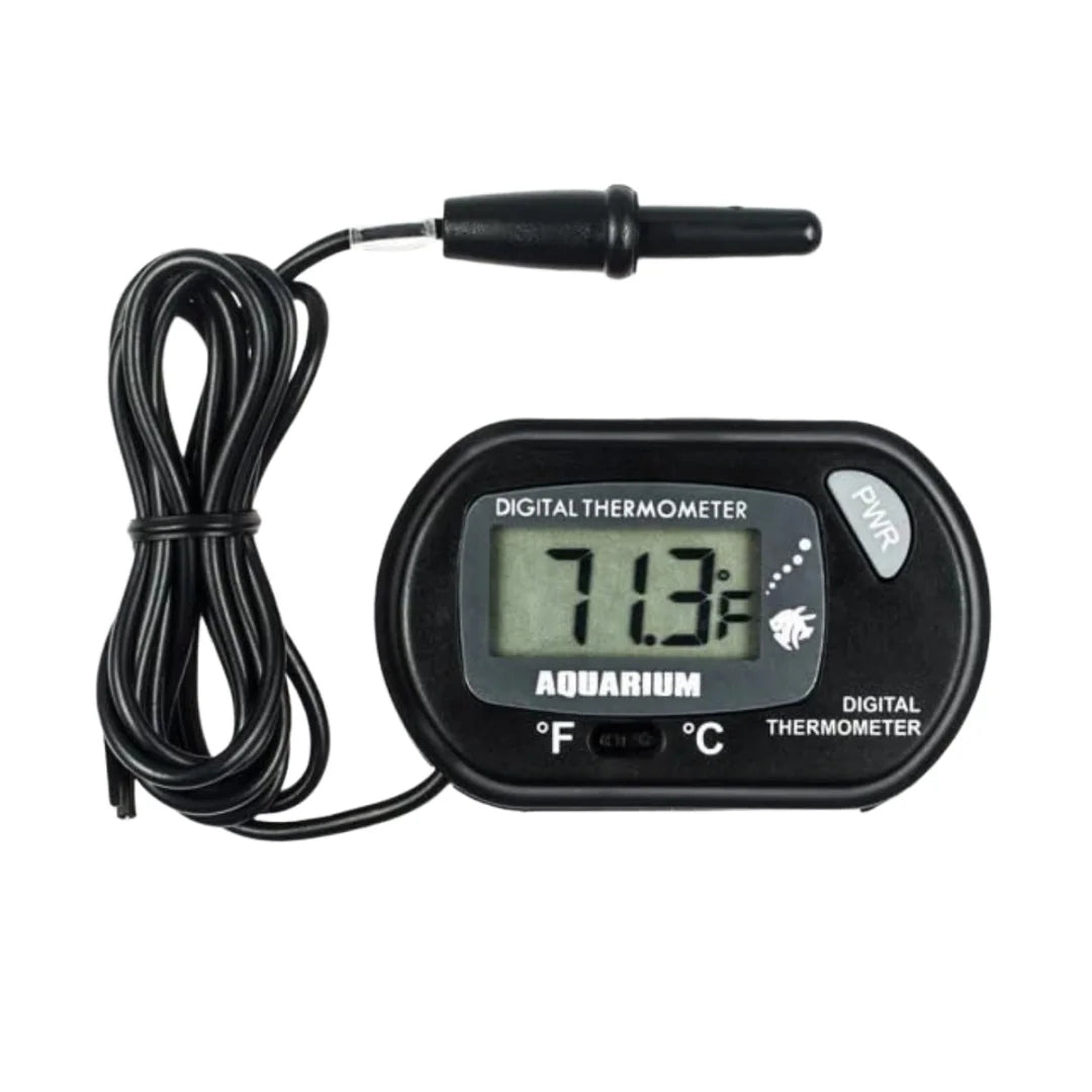 Thermaqua Digital Aquarium