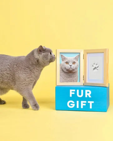 Pawtique ImprintPad