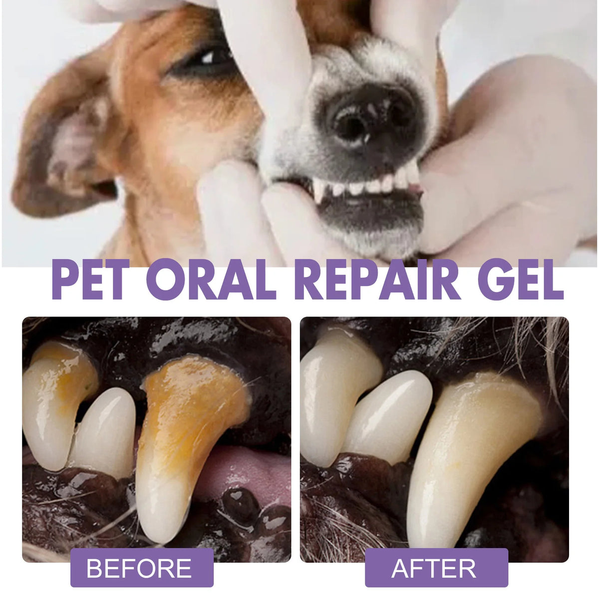 Dentapetix Gel