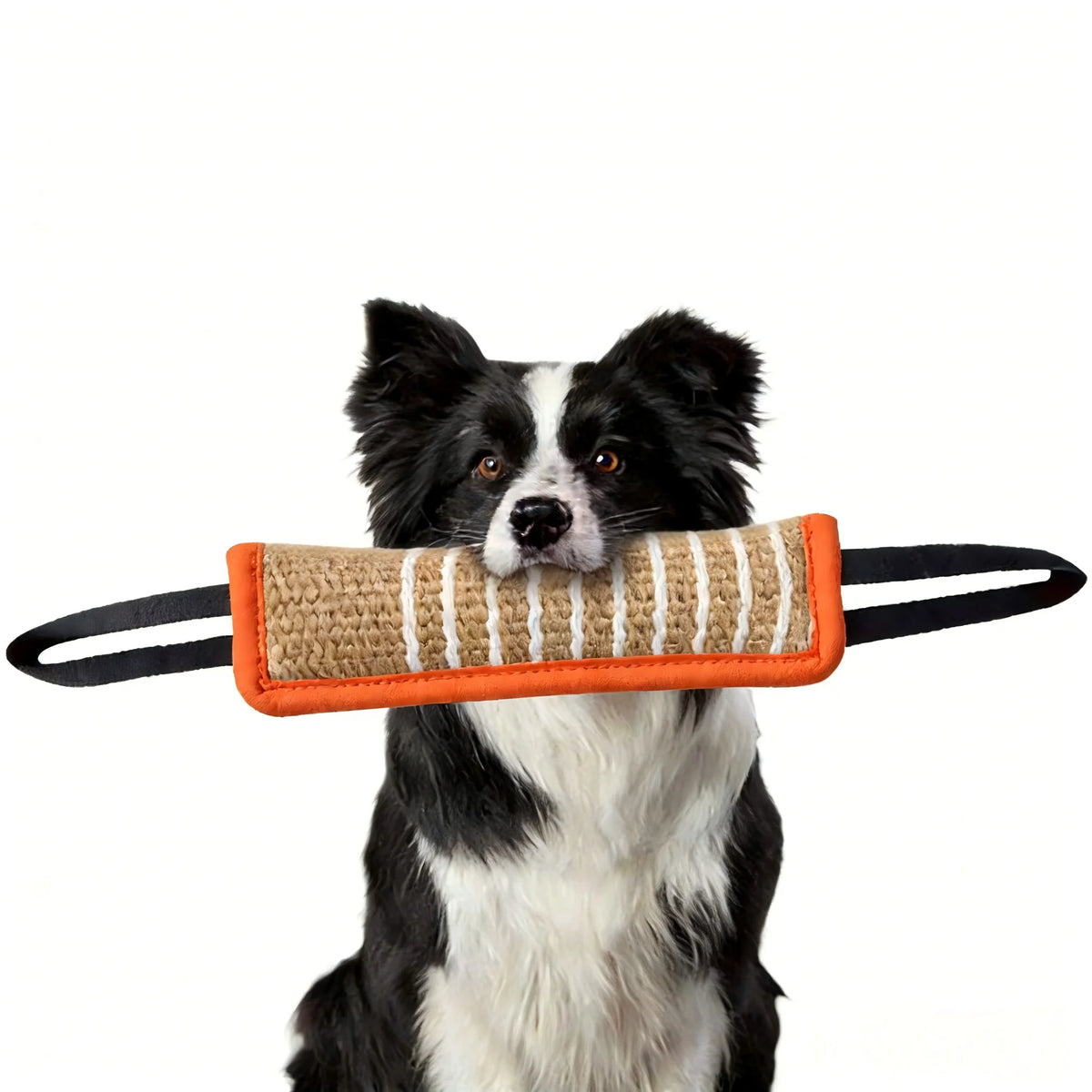 Bitevora Training Rod