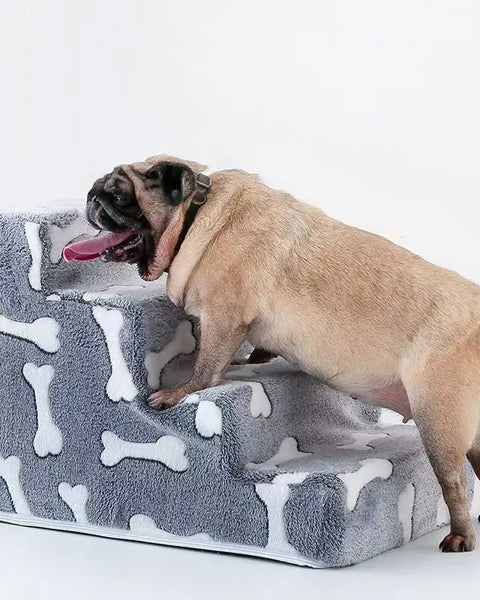 ComfortStep Ladder