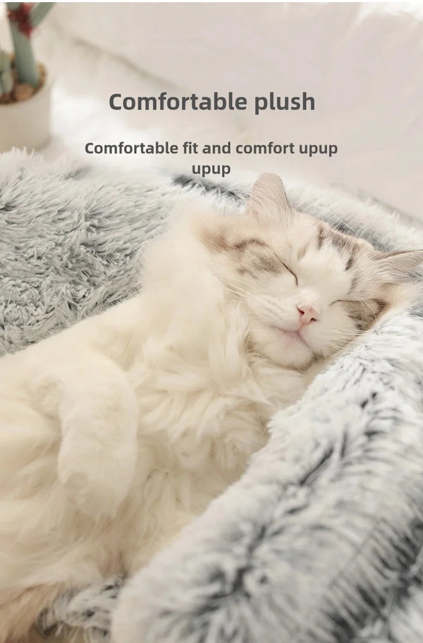 Winter Bed – Premium Model