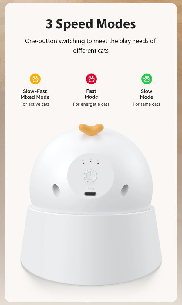 LaserMotion Pet