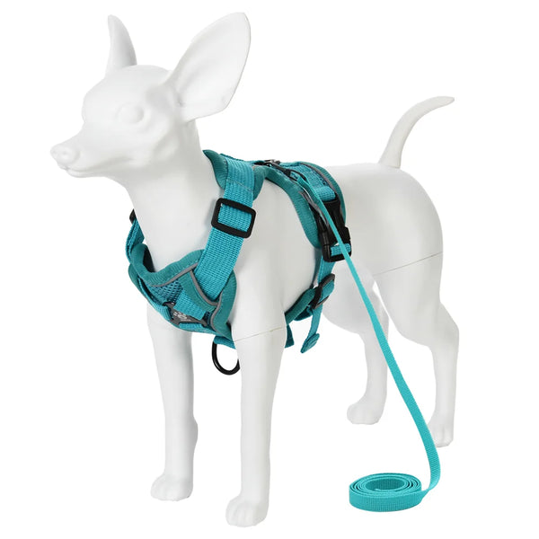 Dog Harness and Leash Set