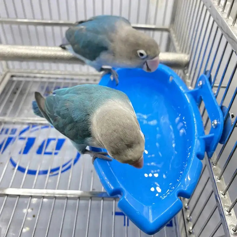 SplashTray PlayBaths