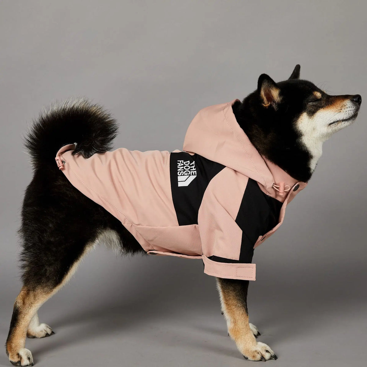 Lunavo Premium Dog Jacket