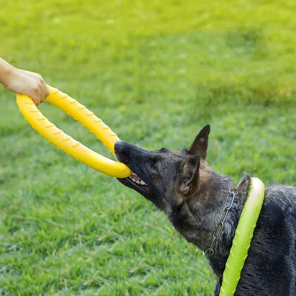 FetchRing Floating Toy