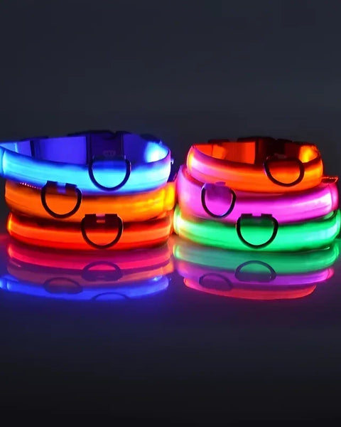 LED dog collar for dogs that provides high-visibility illumination and improves safety during nighttime walks and low-light outdoor conditions.