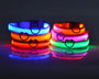 LED dog collar for dogs that provides high-visibility illumination and improves safety during nighttime walks and low-light outdoor conditions.