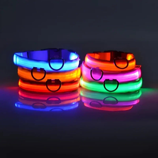 LED dog collar for dogs that provides high-visibility illumination and improves safety during nighttime walks and low-light outdoor conditions.