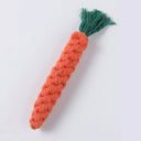  Carrot