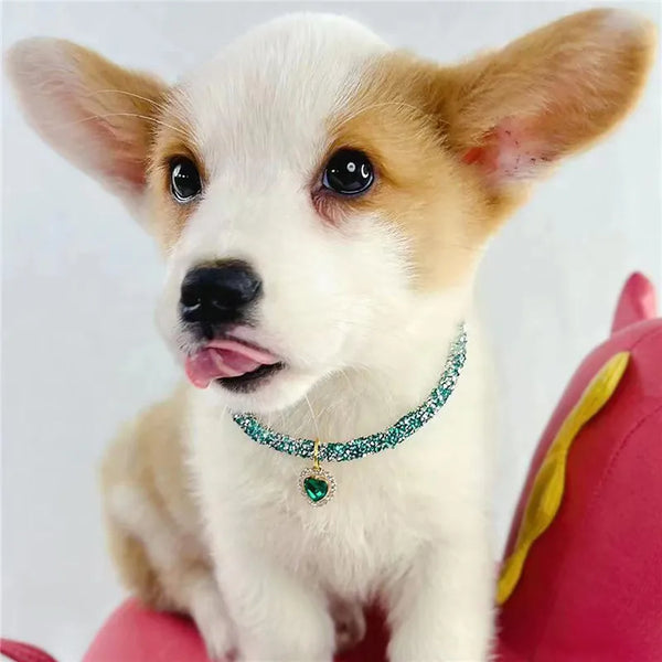 Aurora Heart Collar