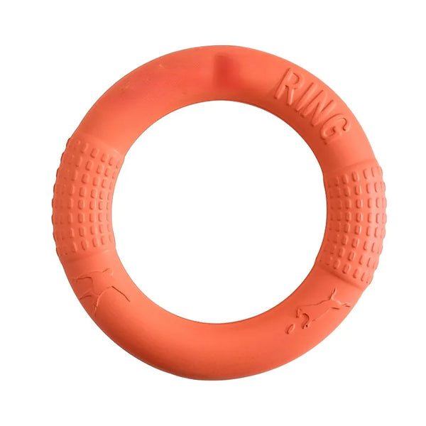 FetchRing Floating Toy