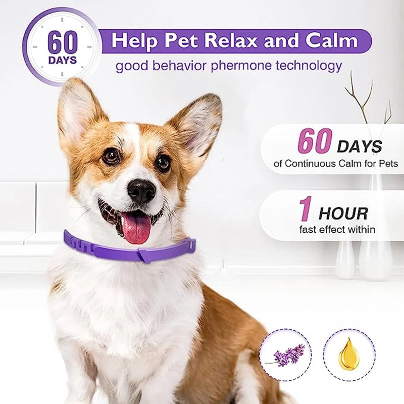 LumeCalm Collar