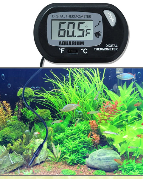 Thermaqua Digital Aquarium