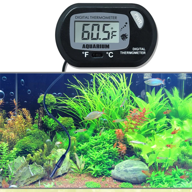 Thermaqua Digital Aquarium