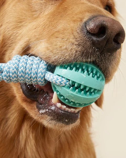 Trevixa Interactive Rope Toy