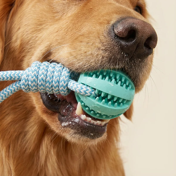 Trevixa Interactive Rope Toy