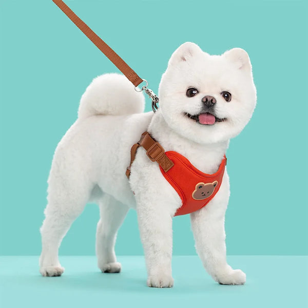 Cute Dog Harness and Leash Set