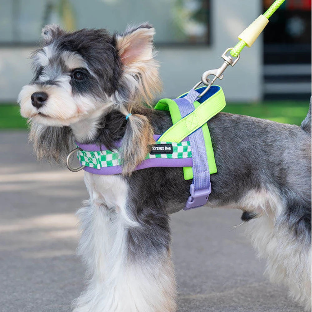 ColorFlex Dog Harness