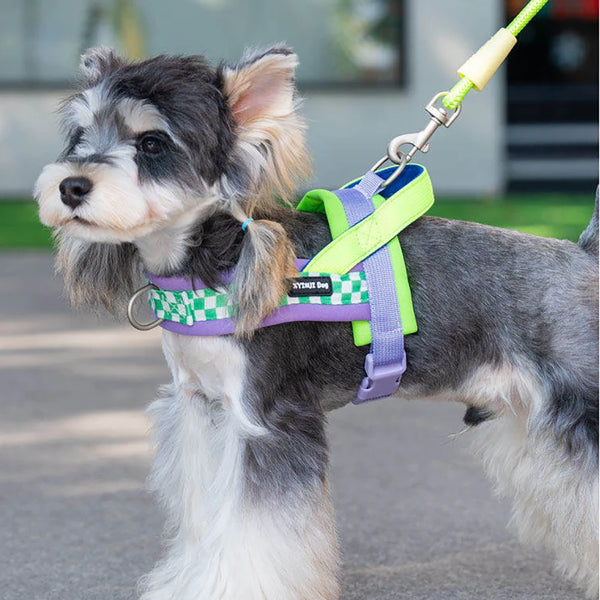 ColorFlex Dog Harness