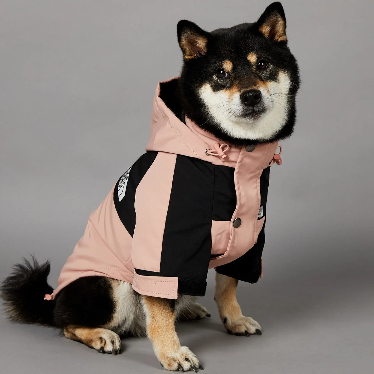 Lunavo Premium Dog Jacket