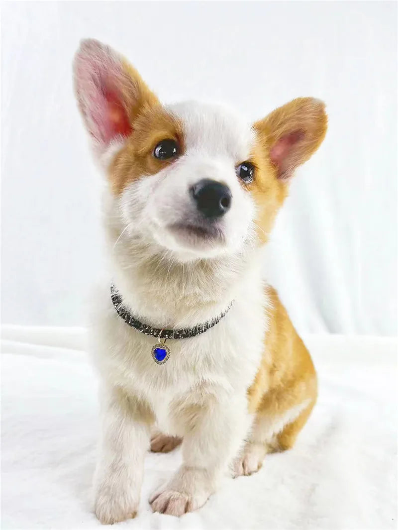 Aurora Heart Collar