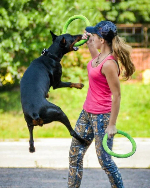 FetchRing Floating Toy
