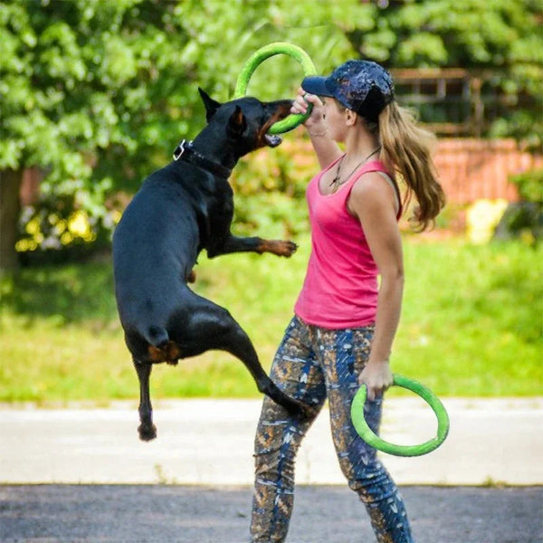 FetchRing Floating Toy