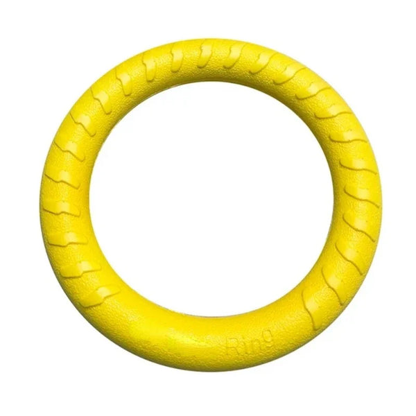 FetchRing Floating Toy