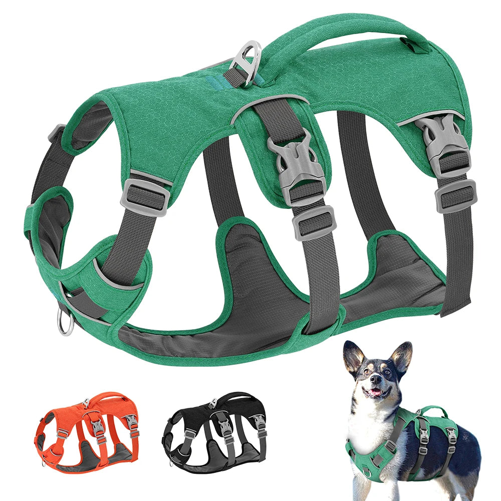 Escape-Proof Reflective Dog Harness with Handle | Adjustable Pet Vest | RoyalPrimer