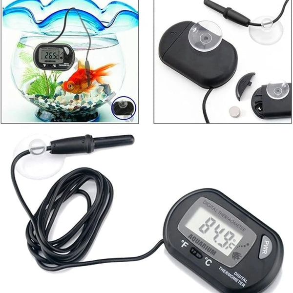 Thermaqua Digital Aquarium
