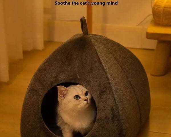 SnugglePurr Haven