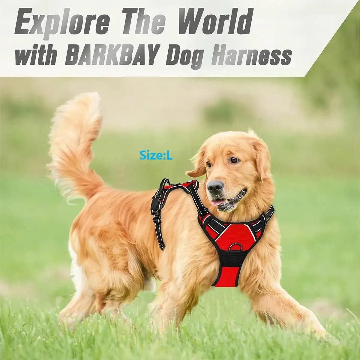SafeTrail Harness