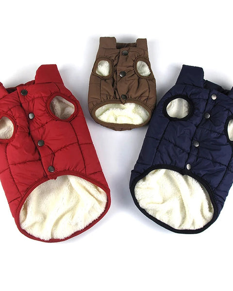 FurGuard Winter Vest Premium
