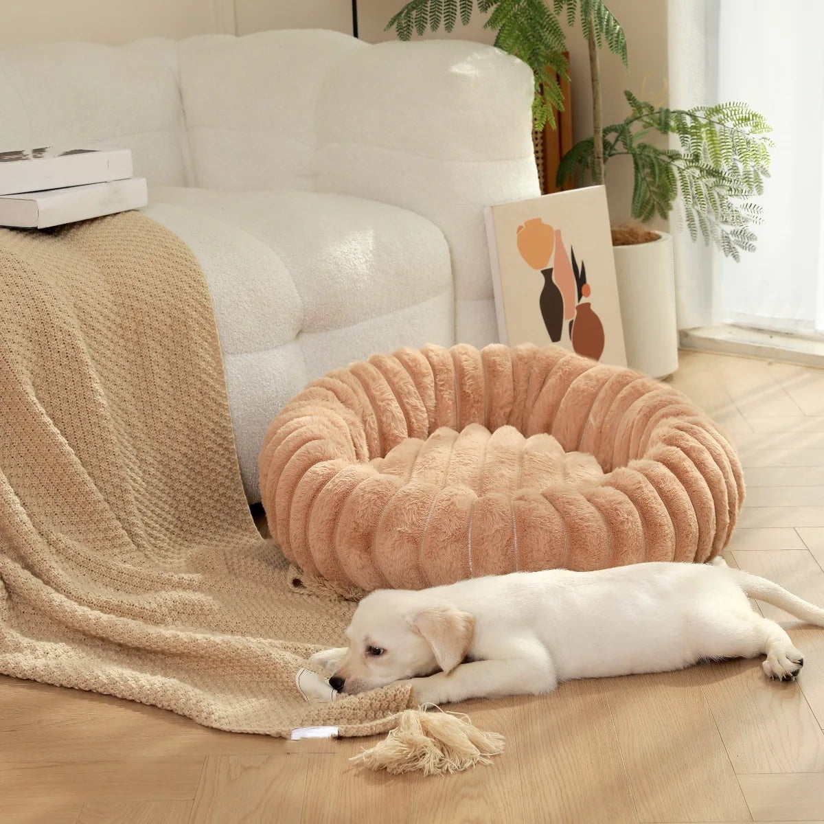 DreamPuff Bed