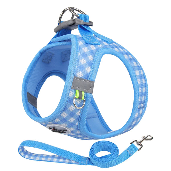 Dog Harness and Leash Set